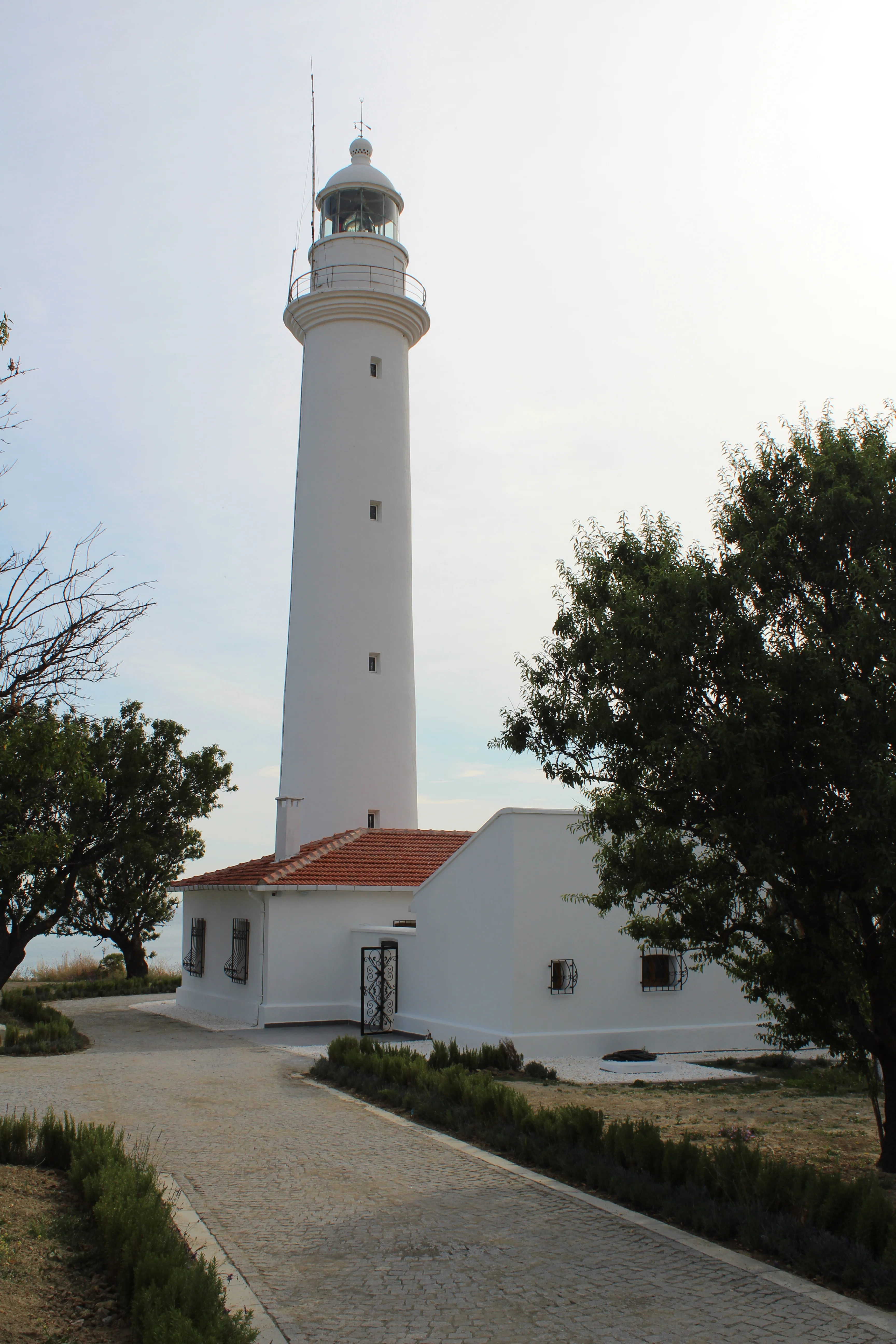 Majestik Gemisi Dalış İskelesi