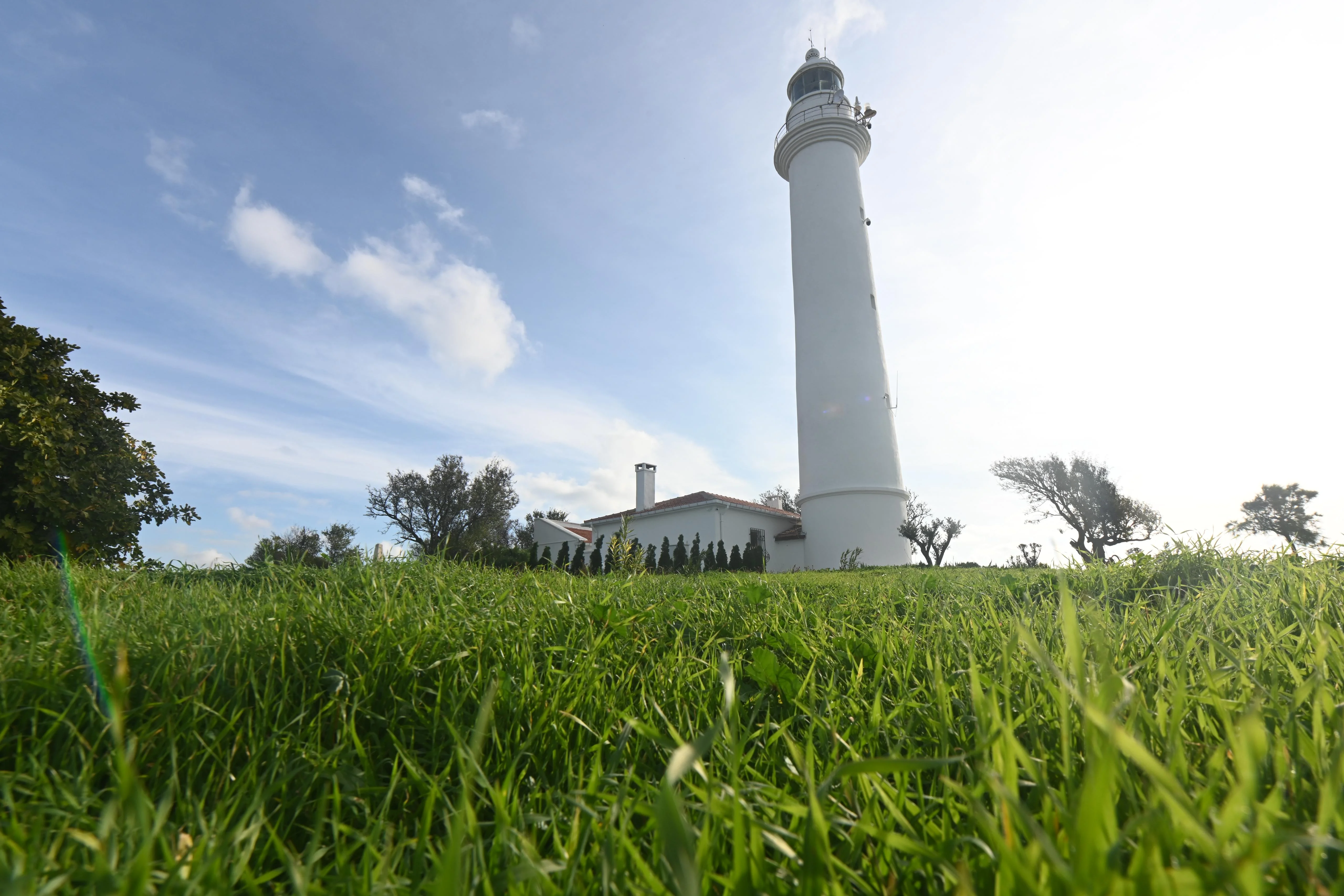 Majestik Gemisi Dalış İskelesi